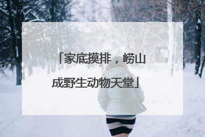 家底摸排，崂山成野生动物天堂