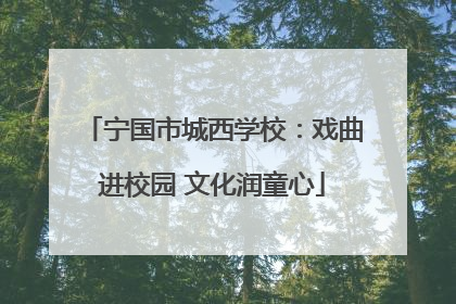 宁国市城西学校：戏曲进校园 文化润童心