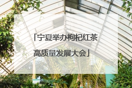 宁夏举办枸杞红茶高质量发展大会
