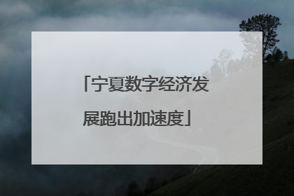 宁夏数字经济发展跑出加速度