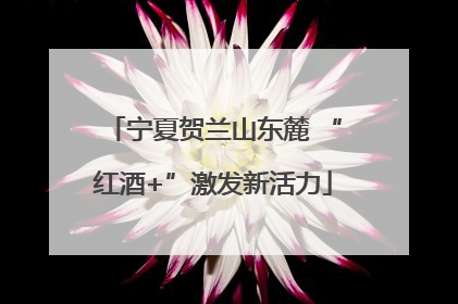 宁夏贺兰山东麓 “红酒+”激发新活力