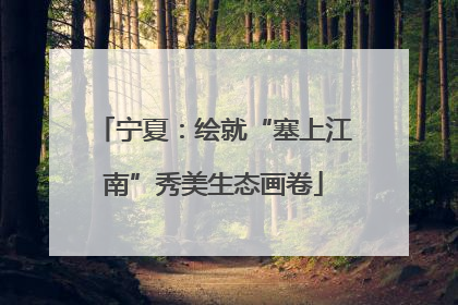 宁夏：绘就“塞上江南”秀美生态画卷