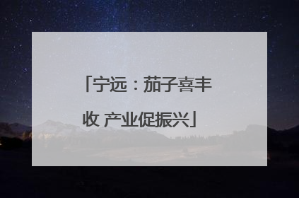 宁远：茄子喜丰收 产业促振兴