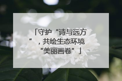 守护“诗与远方”，共绘生态环境“美丽画卷”
