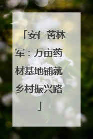 安仁黄林军：万亩药材基地铺就乡村振兴路