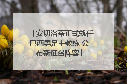 安切洛蒂正式就任巴西男足主教练 公布新征召阵容