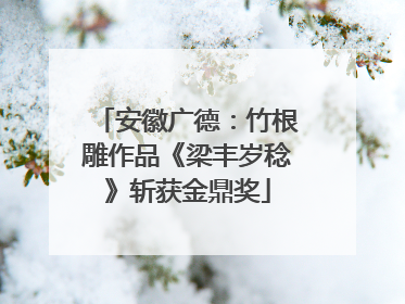 安徽广德：竹根雕作品《梁丰岁稔》斩获金鼎奖