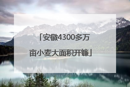 安徽4300多万亩小麦大面积开镰