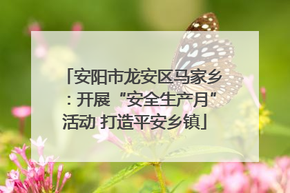 安阳市龙安区马家乡：开展“安全生产月”活动 打造平安乡镇