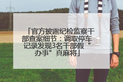 官方披露纪检监察干部查案细节：调取停车记录发现3名干部假“办事”真麻将