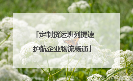 定制货运班列提速 护航企业物流畅通
