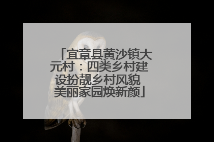 宜章县黄沙镇大元村：四类乡村建设扮靓乡村风貌 美丽家园焕新颜
