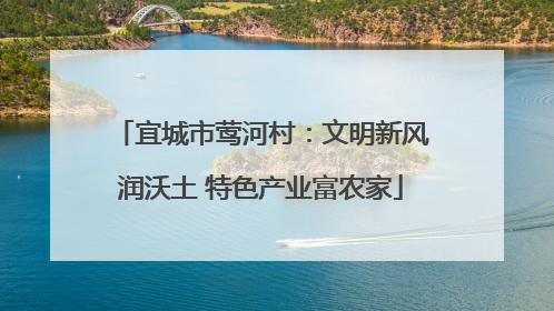 宜城市莺河村：文明新风润沃土 特色产业富农家