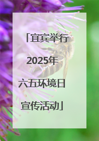 宜宾举行2025年六五环境日宣传活动