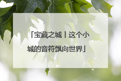 宝藏之城丨这个小城的音符飘向世界