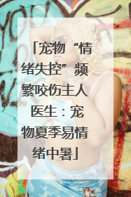 宠物“情绪失控”频繁咬伤主人 医生：宠物夏季易情绪中暑
