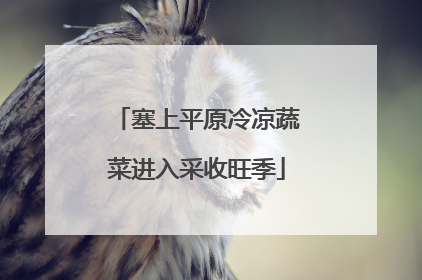 塞上平原冷凉蔬菜进入采收旺季