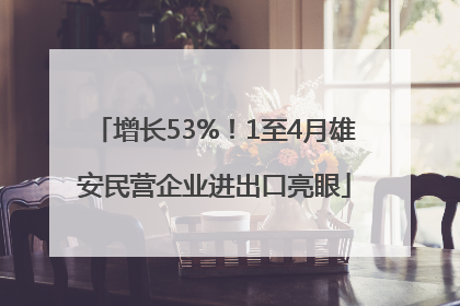 增长53%！1至4月雄安民营企业进出口亮眼