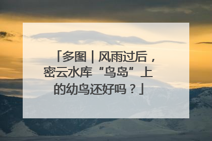 多图｜风雨过后，密云水库“鸟岛”上的幼鸟还好吗？