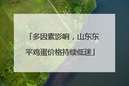 多因素影响，山东东平鸡蛋价格持续低迷