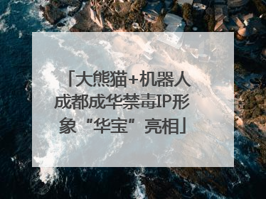 大熊猫+机器人 成都成华禁毒IP形象“华宝”亮相