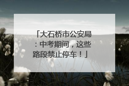 大石桥市公安局：中考期间，这些路段禁止停车！