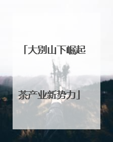 大别山下崛起茶产业新势力
