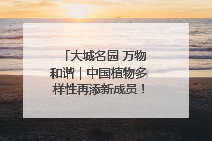 大城名园 万物和谐｜中国植物多样性再添新成员！它只在西藏墨脱