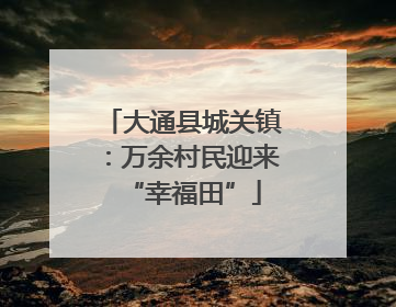 大通县城关镇：万余村民迎来“幸福田”