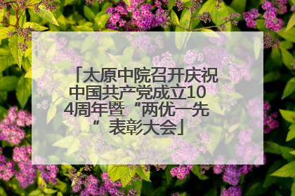 太原中院召开庆祝中国共产党成立104周年暨“两优一先”表彰大会
