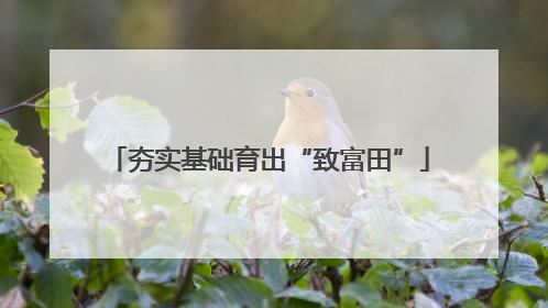 夯实基础育出“致富田”