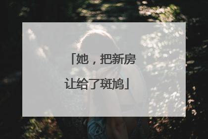 她，把新房让给了斑鸠