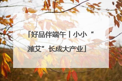 好品伴端午丨小小“潍艾”长成大产业