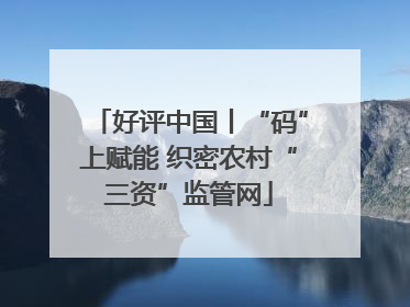好评中国丨“码”上赋能 织密农村“三资”监管网