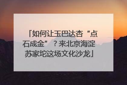 如何让玉巴达杏“点石成金”？来北京海淀苏家坨这场文化沙龙