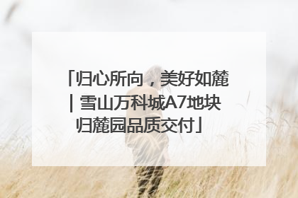 归心所向，美好如麓｜雪山万科城A7地块归麓园品质交付