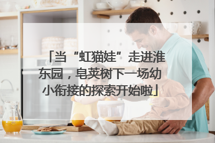 当“虹猫娃”走进淮东园，皂荚树下一场幼小衔接的探索开始啦