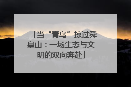 当“青鸟”掠过舜皇山：一场生态与文明的双向奔赴