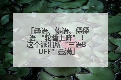 彝语、傣语、傈僳语 “轮番上阵”！这个派出所“三语BUFF”叠满
