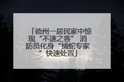 德州一居民家中惊现“不速之客” 消防员化身“捕蛇专家”快速处置