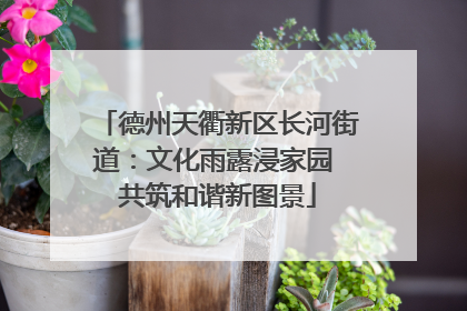 德州天衢新区长河街道：文化雨露浸家园 共筑和谐新图景