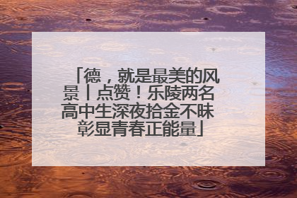 德，就是最美的风景丨点赞！乐陵两名高中生深夜拾金不昧 彰显青春正能量