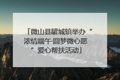微山县驩城镇举办“浓情端午·圆梦微心愿”爱心帮扶活动