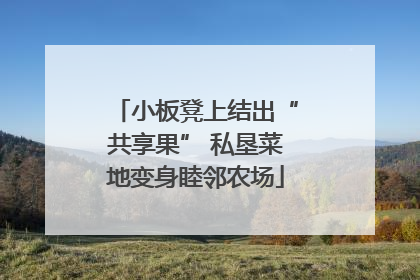 小板凳上结出“共享果” 私垦菜地变身睦邻农场