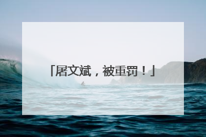 屠文斌，被重罚！