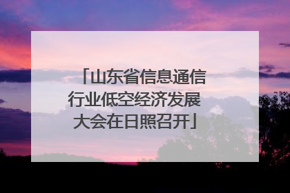 山东省信息通信行业低空经济发展大会在日照召开