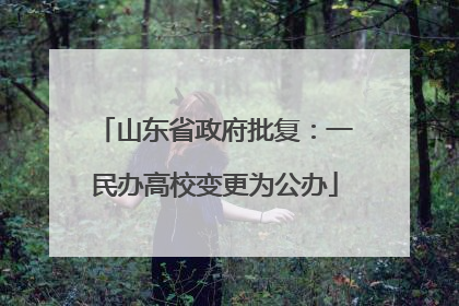 山东省政府批复：一民办高校变更为公办