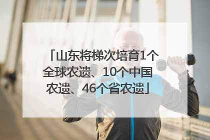 山东将梯次培育1个全球农遗、10个中国农遗、46个省农遗