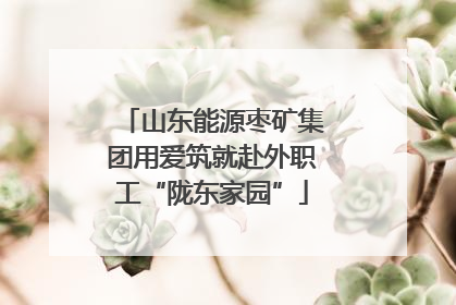 山东能源枣矿集团用爱筑就赴外职工“陇东家园”