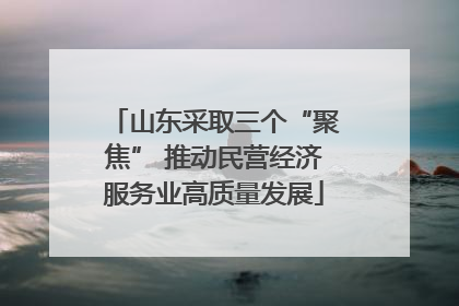 山东采取三个“聚焦” 推动民营经济服务业高质量发展
